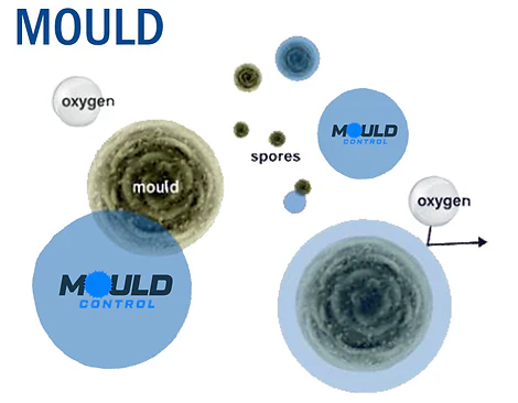 Mould Control Spray 500ml RTU - Image 2